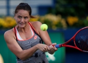 九游- 科维托娃前男友 